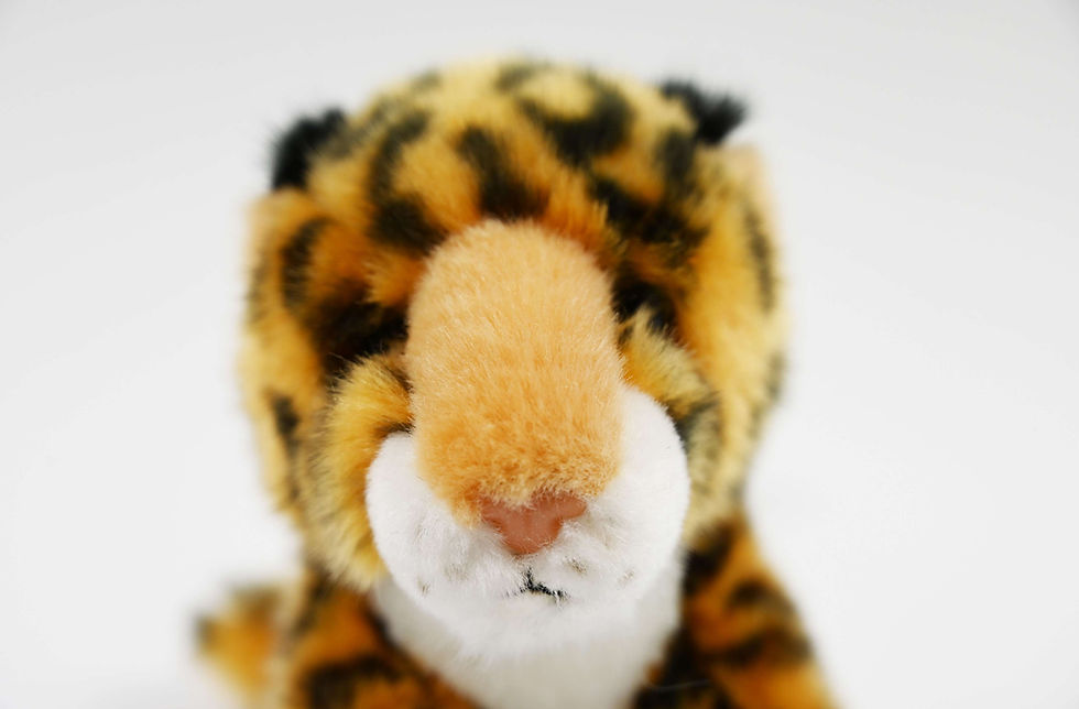 Thumbnail: Taro