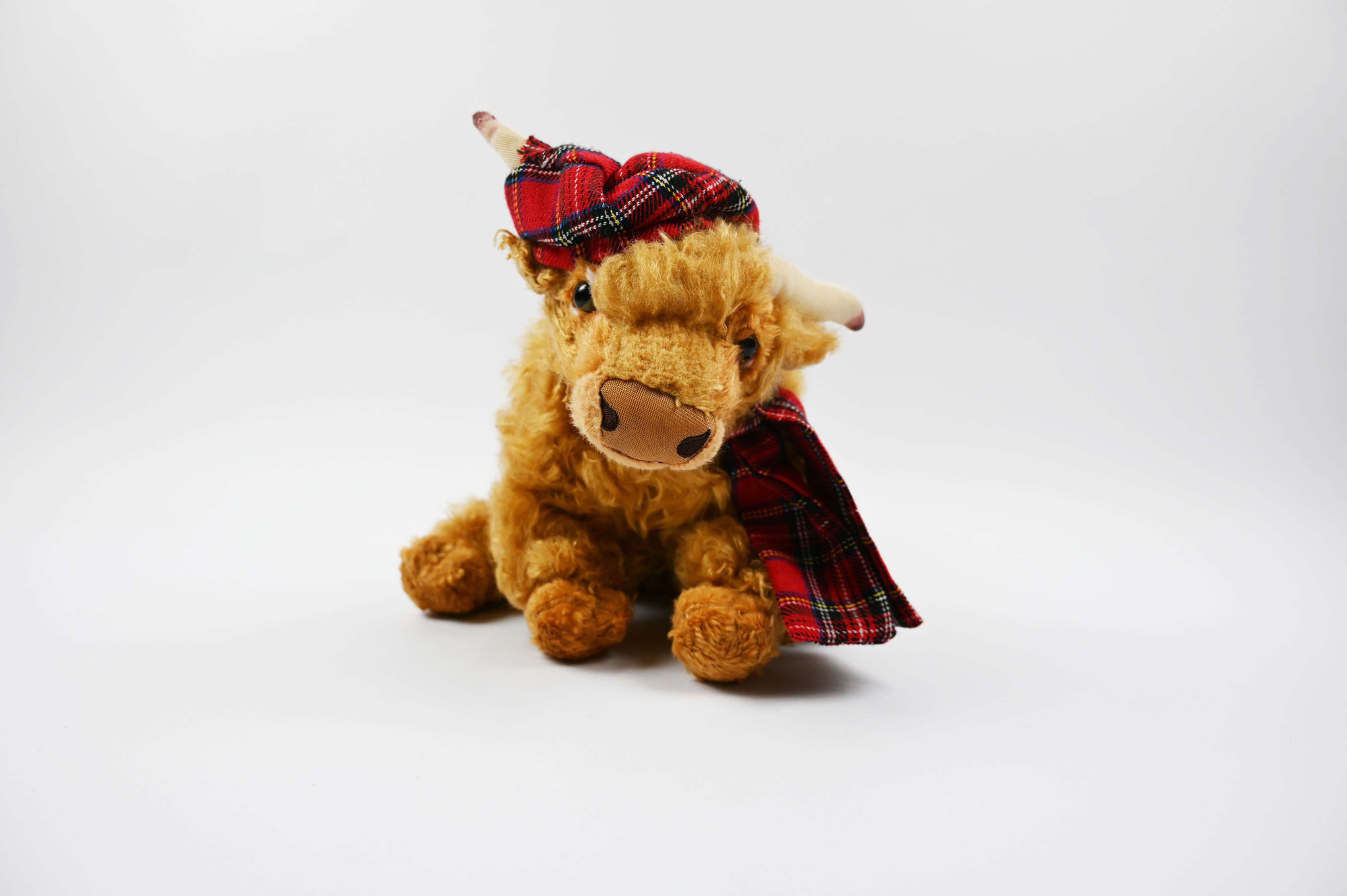 Angus