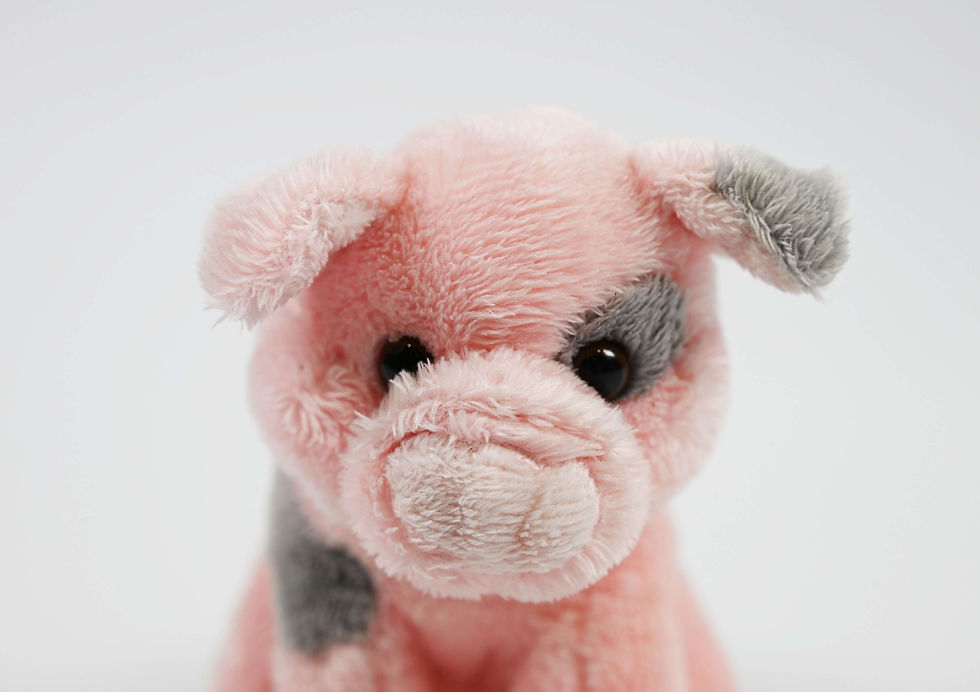 Thumbnail: Piggy