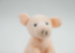 Thumbnail: Oink
