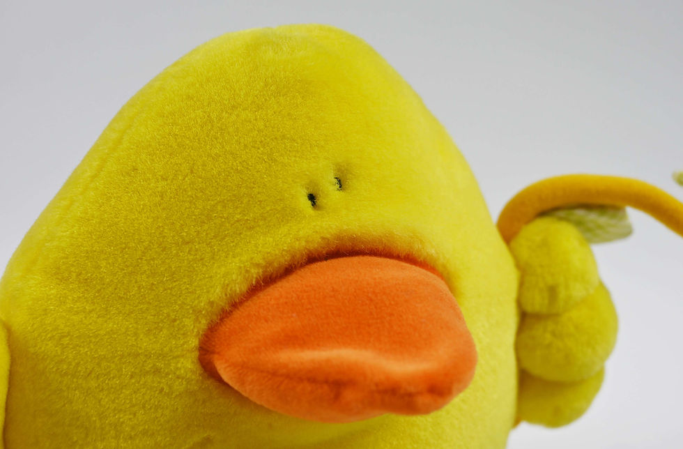 Thumbnail: PomPom