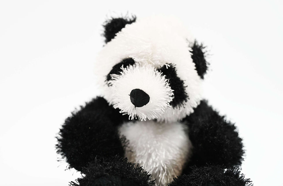 Thumbnail: Panda