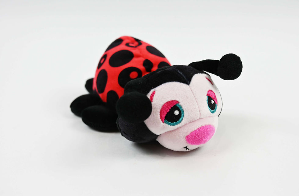 Thumbnail: Dotty