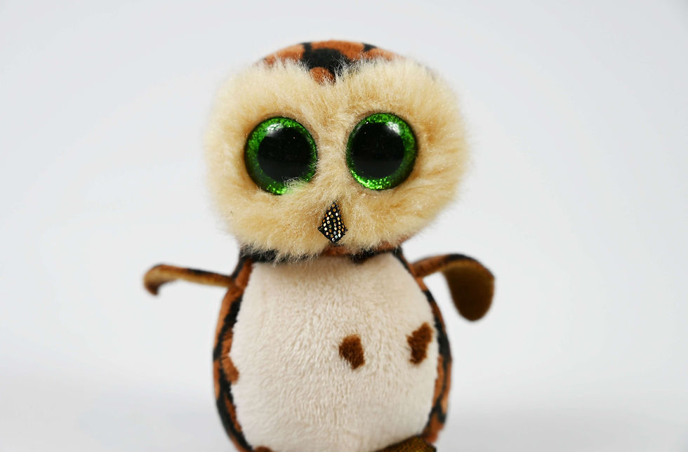 Thumbnail: Hoot