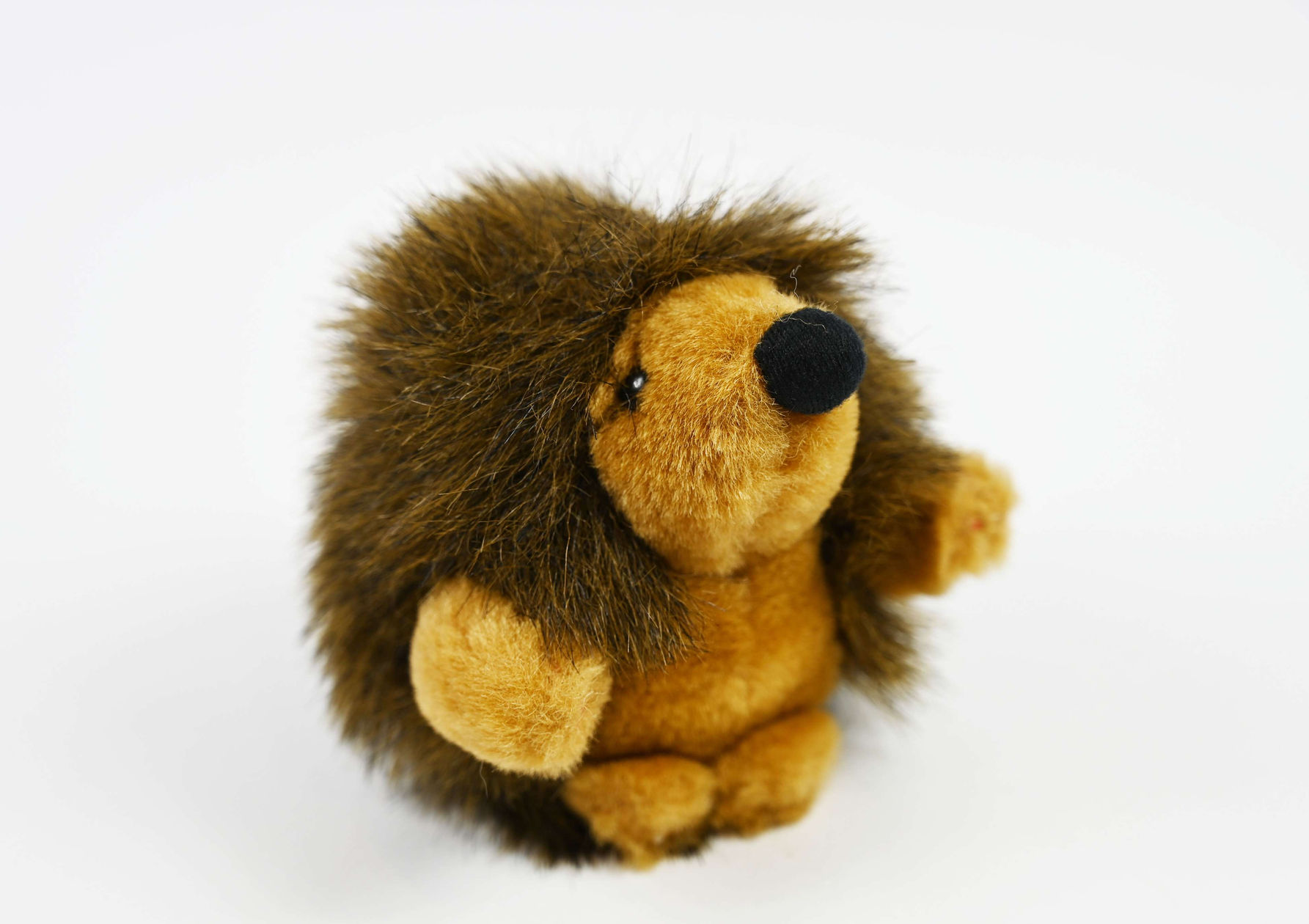 Bramble
