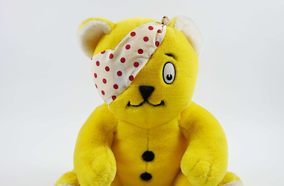 Thumbnail: Pudsey