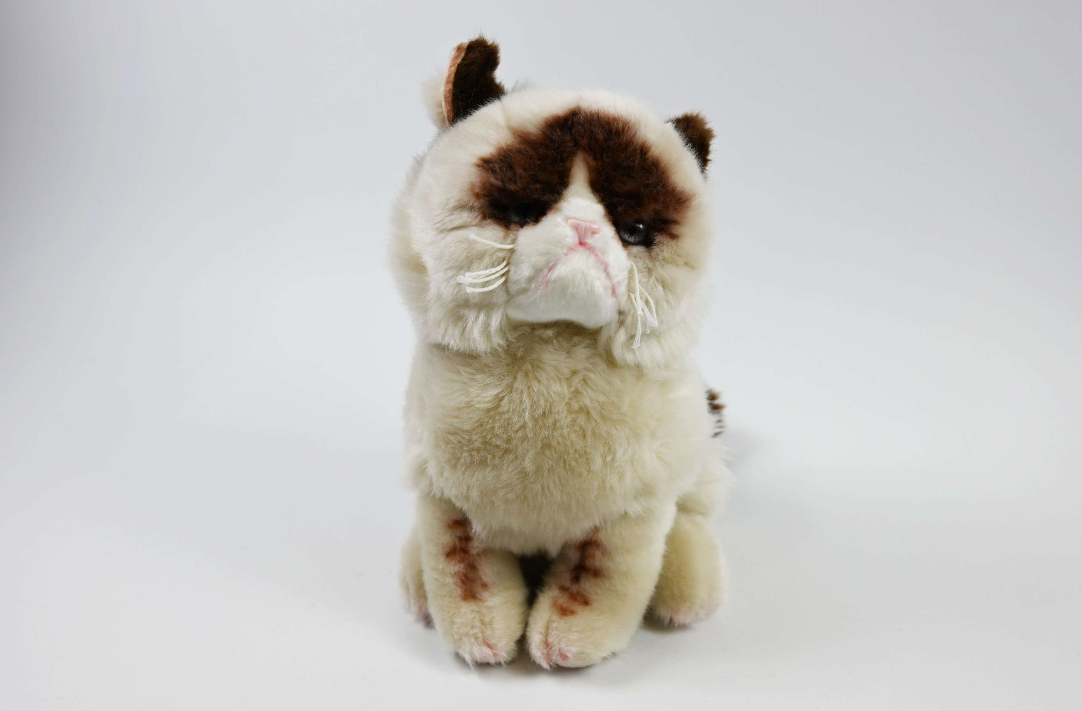 Grumpy Cat