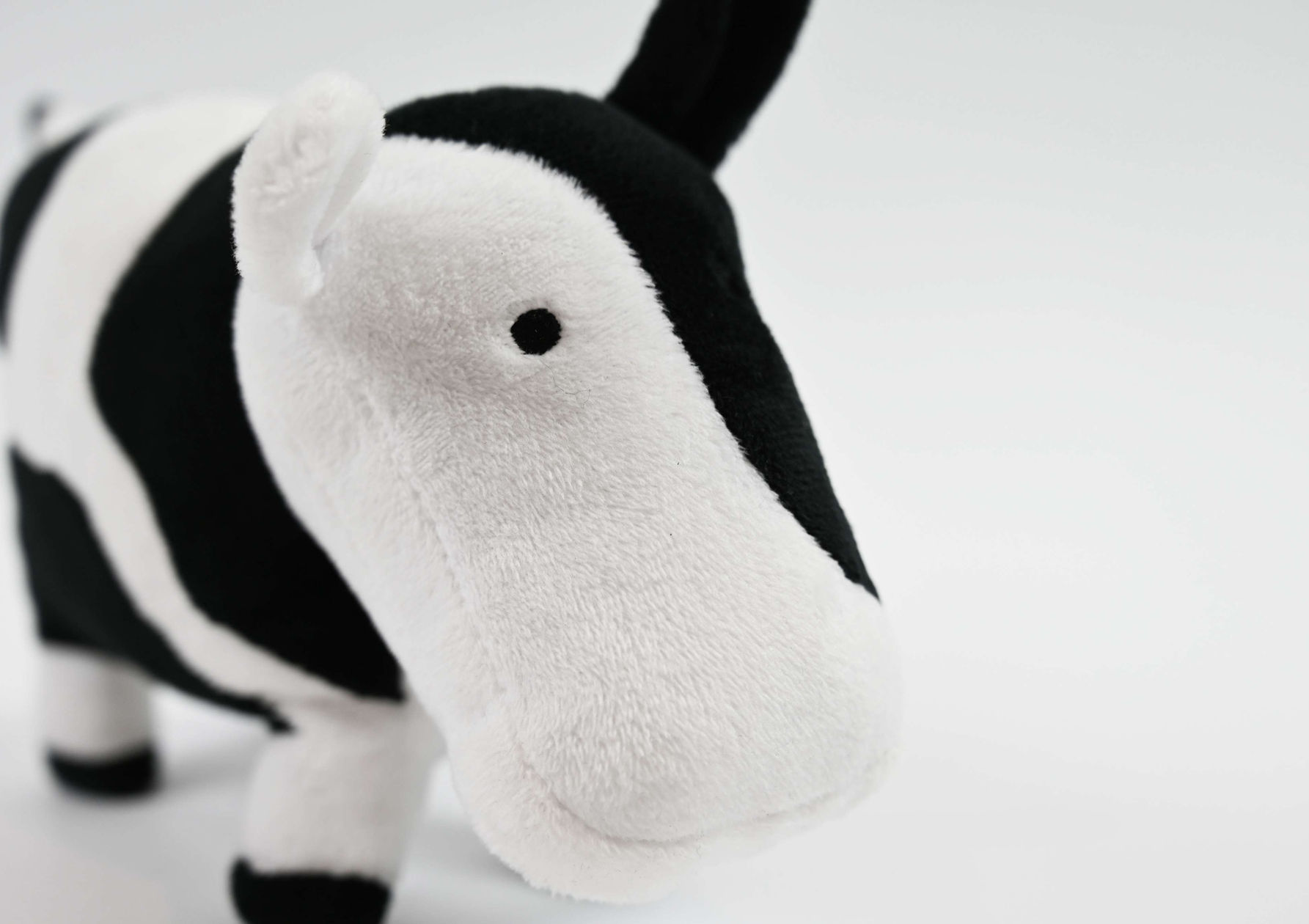 Moo