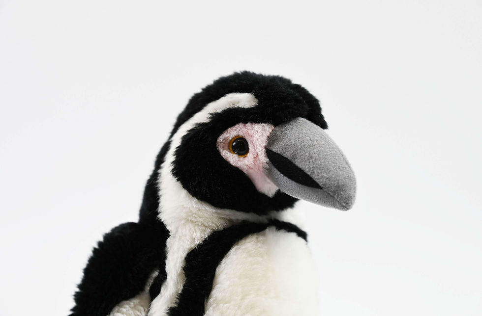 Thumbnail: Percy