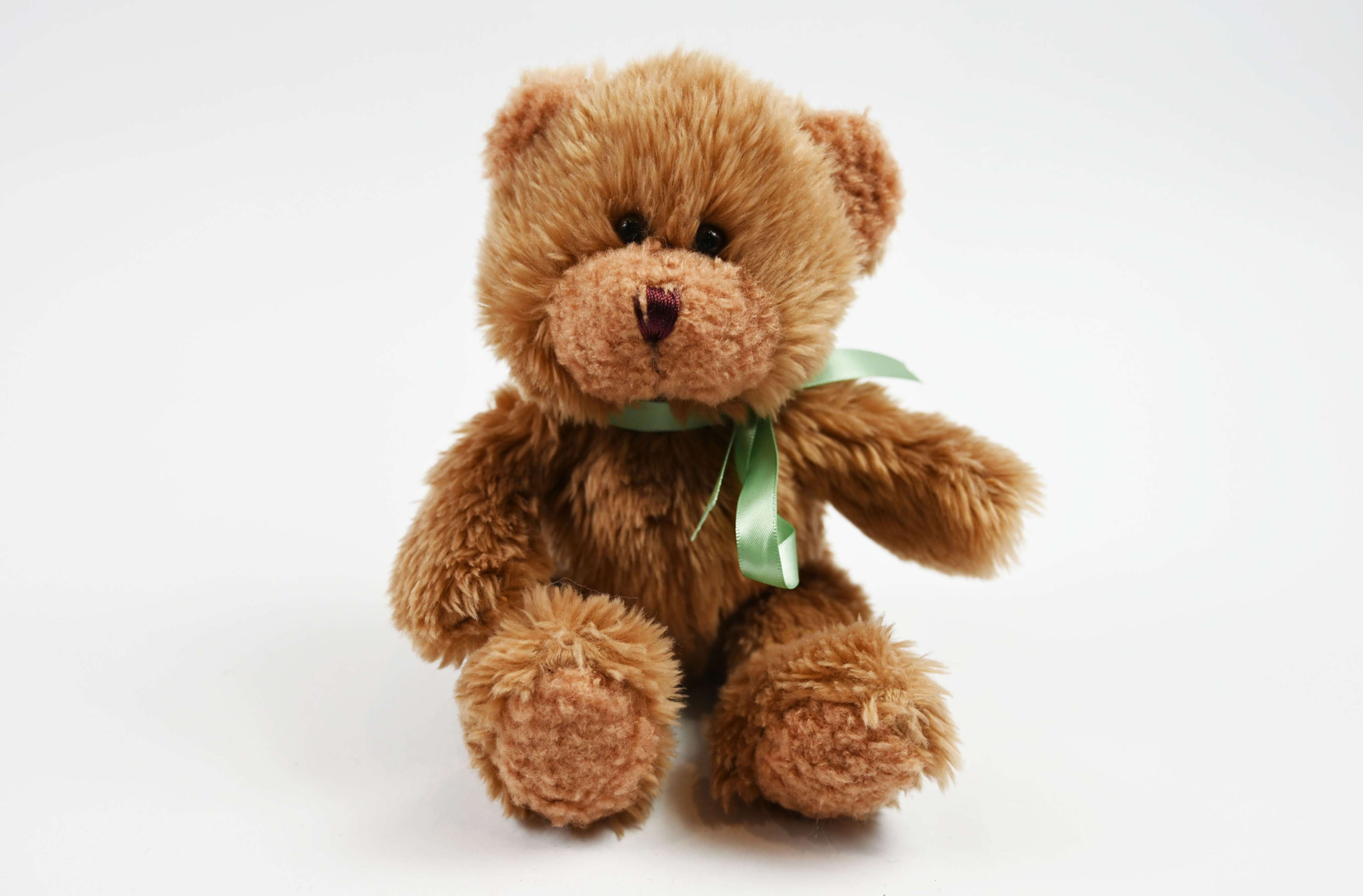 Teddy