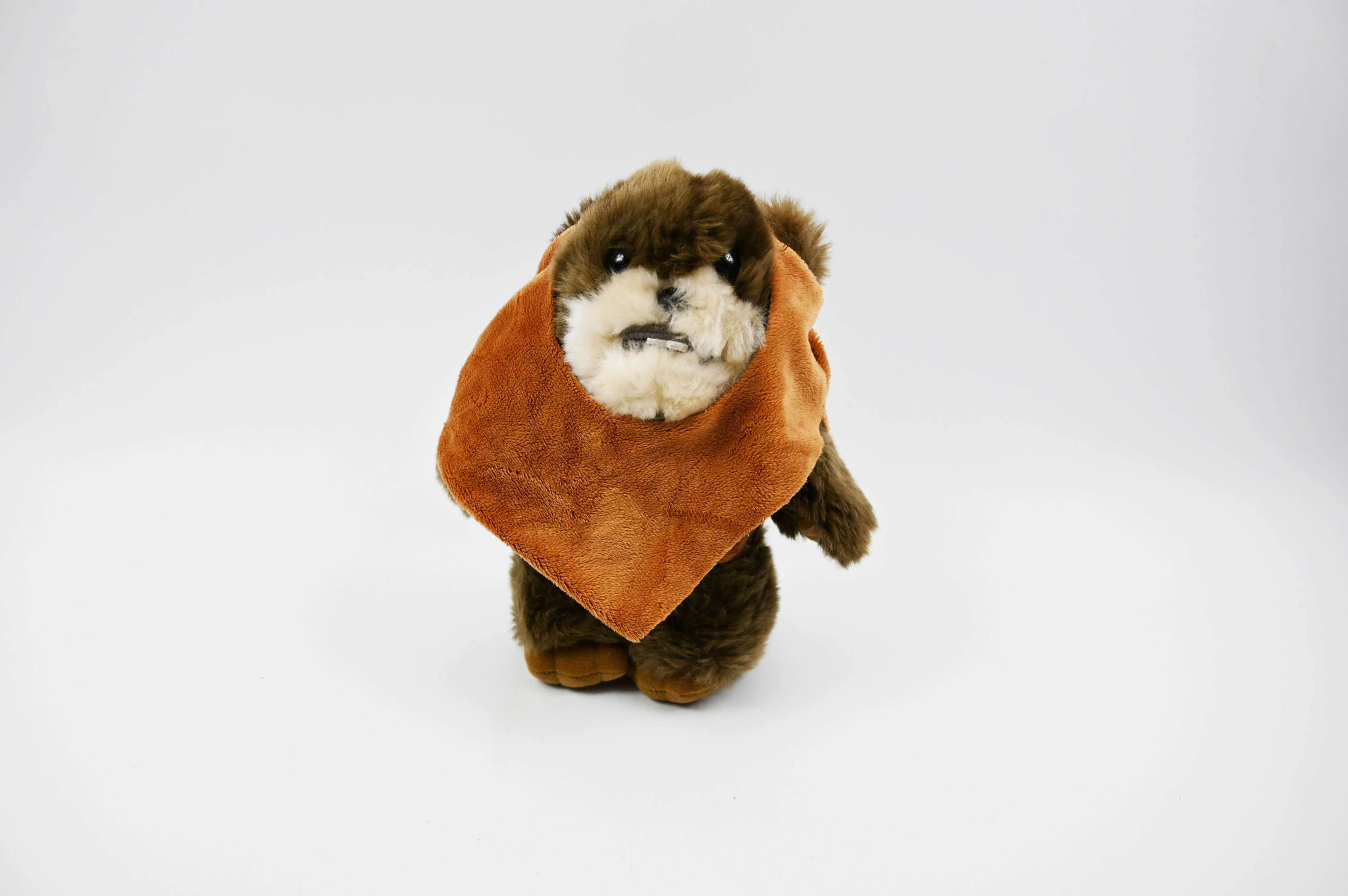 Wicket