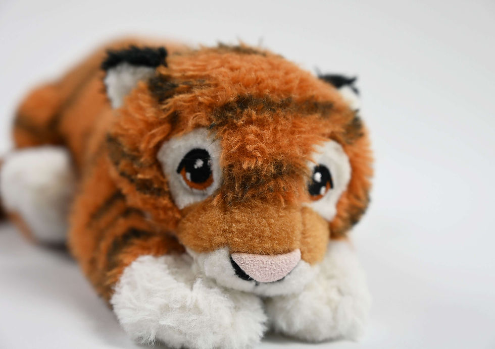 Thumbnail: Tiger