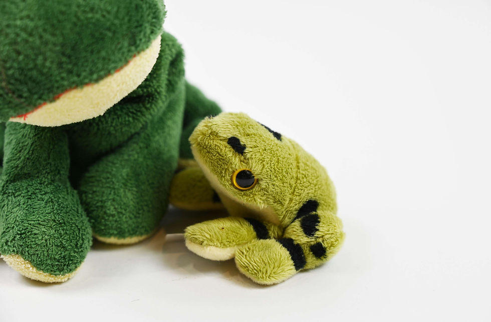 Thumbnail: Ribbit & Croak