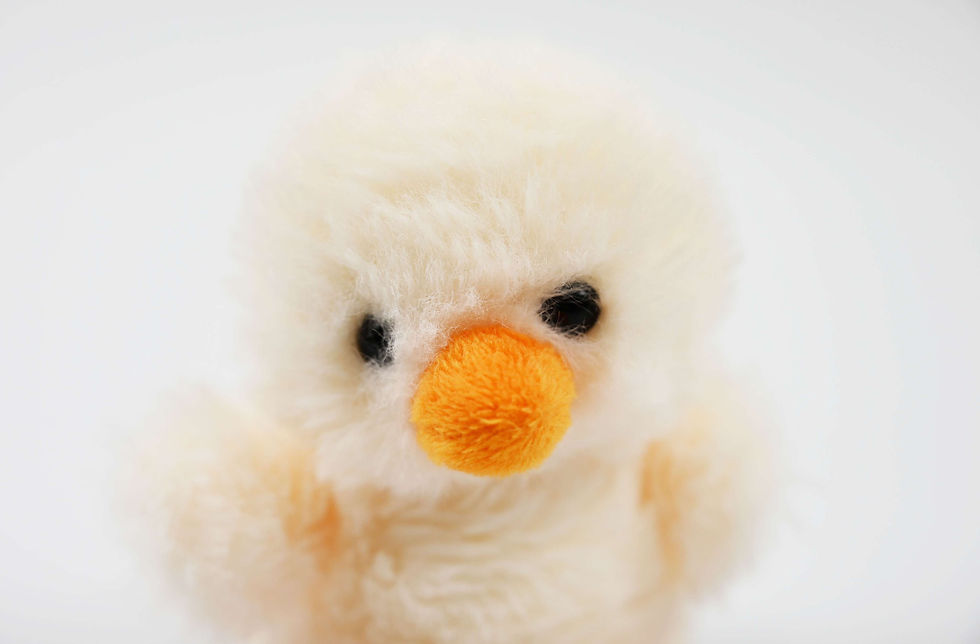 Thumbnail: Pipkin