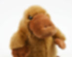 Thumbnail: Harriet