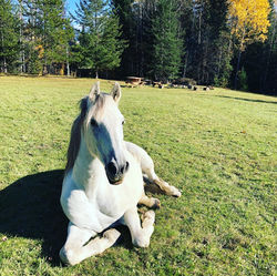 A92833DA-3463-4352-999F-7034A1A9887D