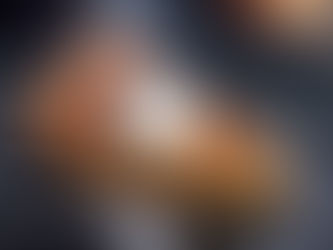 Nancy's Pumpkin Pie Recipe!