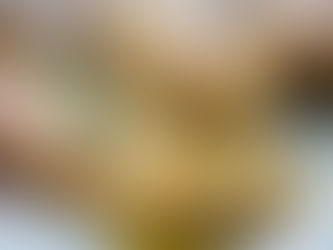 Honey Garlic Grilled Chicken