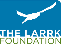 larrk-logo.webp