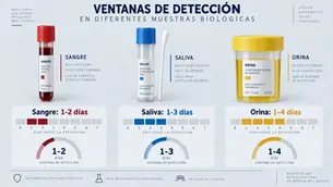 Cuánto dura la cocaína en el cuerpo: orina, sangre y saliva