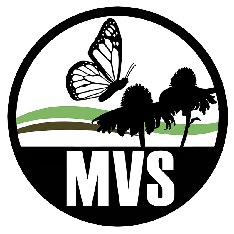 mvs-logo.gif