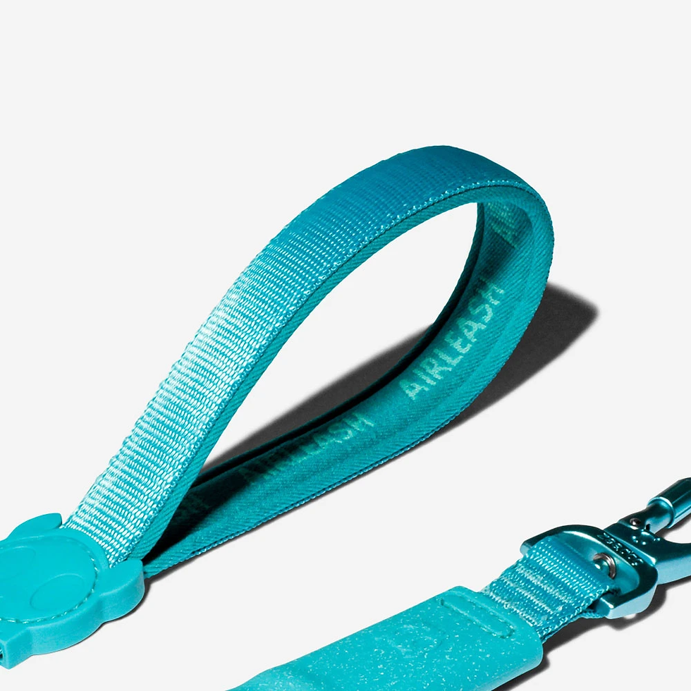 Miniatura: Zee.Dog Blue Airleash