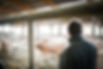20230113_Aalvie_Ferme des 9 journaux20230113_Aalvie_Ferme des 9 journaux-23.jpg