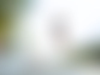 NATURE'S SPLASH ZONE