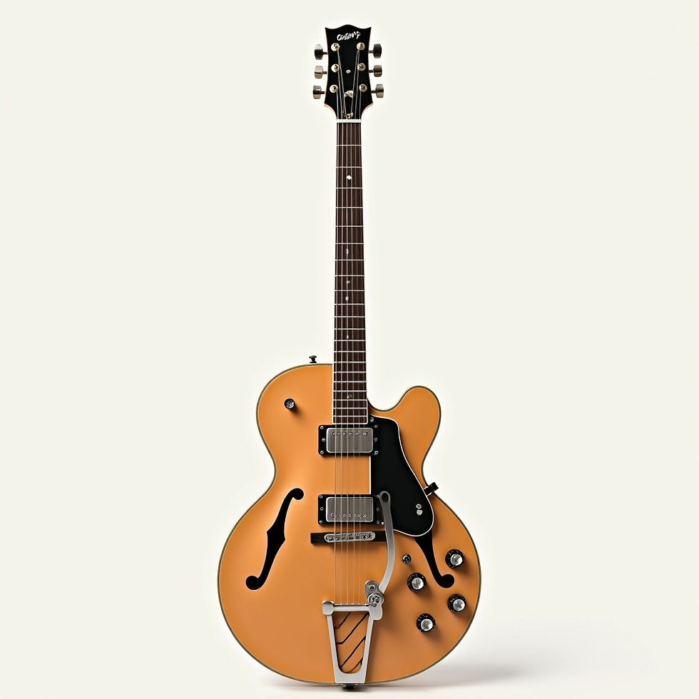 Semi Hollow Electric