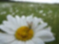 DSCF4306.JPG