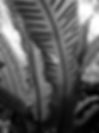 DSCF0802.JPG