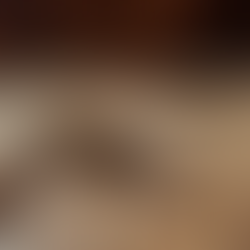 What You Need to Know About Safely Removing Bats from Your Property