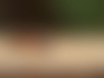 Understanding Common Household Pests and How to Deal with Them