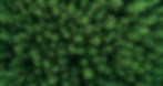 Wild forest background Woods conservation Aerial view Fresh green summer nature park trees