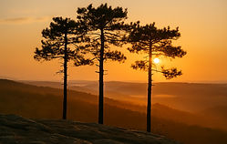 ChatGPT Image 27 de abr. de 2025, 08_51_40.jpg