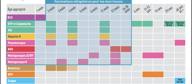 Calendrier des vaccinations 2026