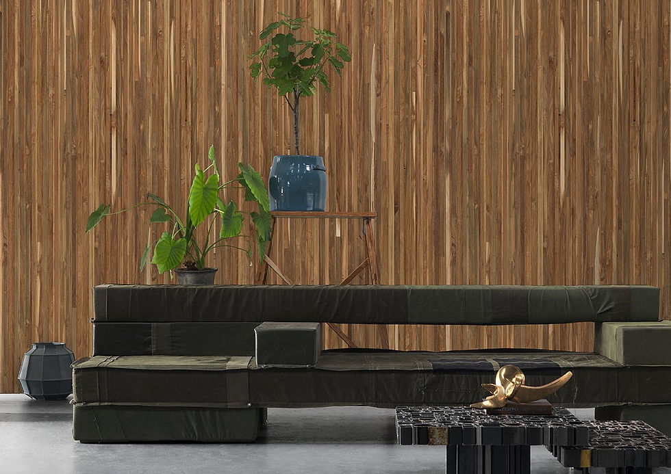 Thumbnail: TIMBER STRIPS