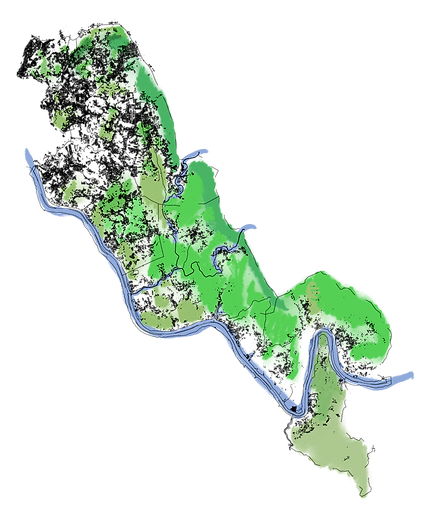 1.1 (2).png