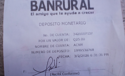 Ejemplo Boleta.jpg