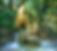 RainforestStream.AntoniosNtoumas.Pixabayjpg.jpg