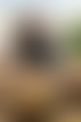 Haitian Cuisine: A Heritage of Flavor and Resilience