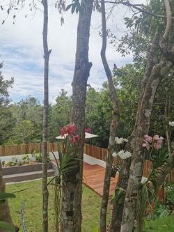 Casa das Orquídeas - 10