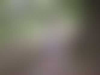 How parental absenteeism and ignorance may impact your child?