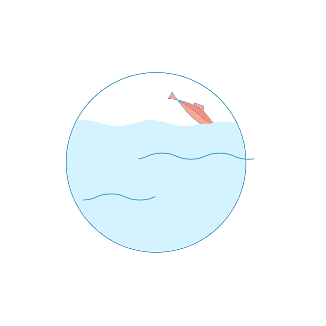 zero_fishescapes_1080gif