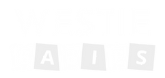 316237059_1185259518755483_7551019009566945554_n.png