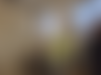 Les résidents ont préparé le goûter : des gâteaux à la myrtille avec Charlotte, la cuisinière directement dans sa cuisine. Très bon moment !!!!