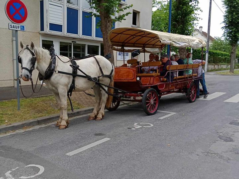 Balade en calèche...