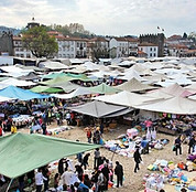 cerdal.jpg
