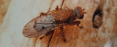 20180819_144540.jpg