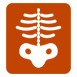 icons8-raio-x-100 (1).png
